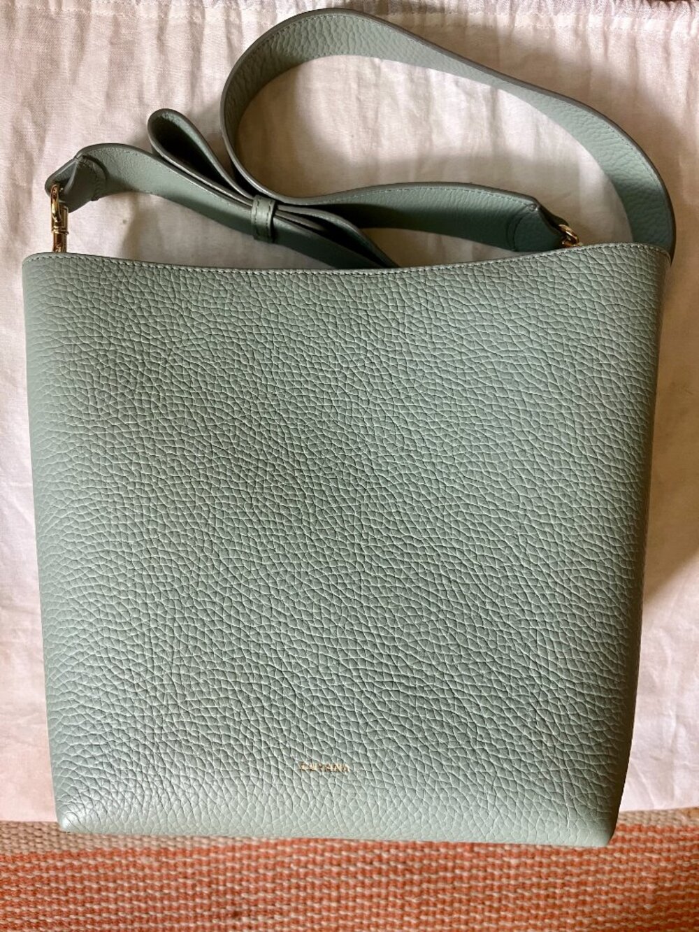 CUYANA Linea Bucket Bag in Mint, Pebbled Leather Tote Purse - Picture 2 of 9